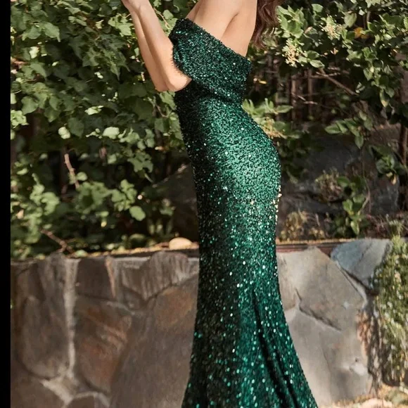 Cinderella Divine Prom Dress - Picture 2 of 8